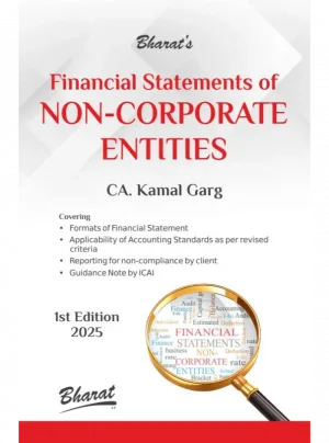 Financial Statements of Non-Corporate Entities 1st Edition 2025