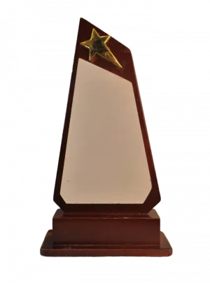 Modern Star Plaque - Wooden Trophy