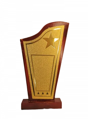 Modern Star Trophy Plaque