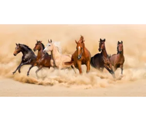 Running Horses — Espresso Wood Frame