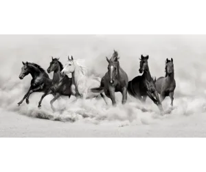 Running Horses(B&W) — Espresso Wood Frame